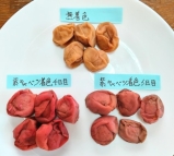 ﾍﾙｼｰ- 簡単初めての梅干し のパーマリンク