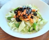 手作り柿の種オイル漬けとキャベツ のパーマリンク